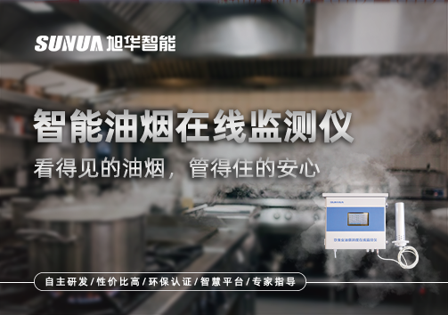 智慧油烟在线监测仪：看得见的油烟，管得住的安心